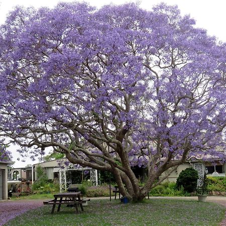 Ecotel Narooma North Narooma Екстер'єр фото