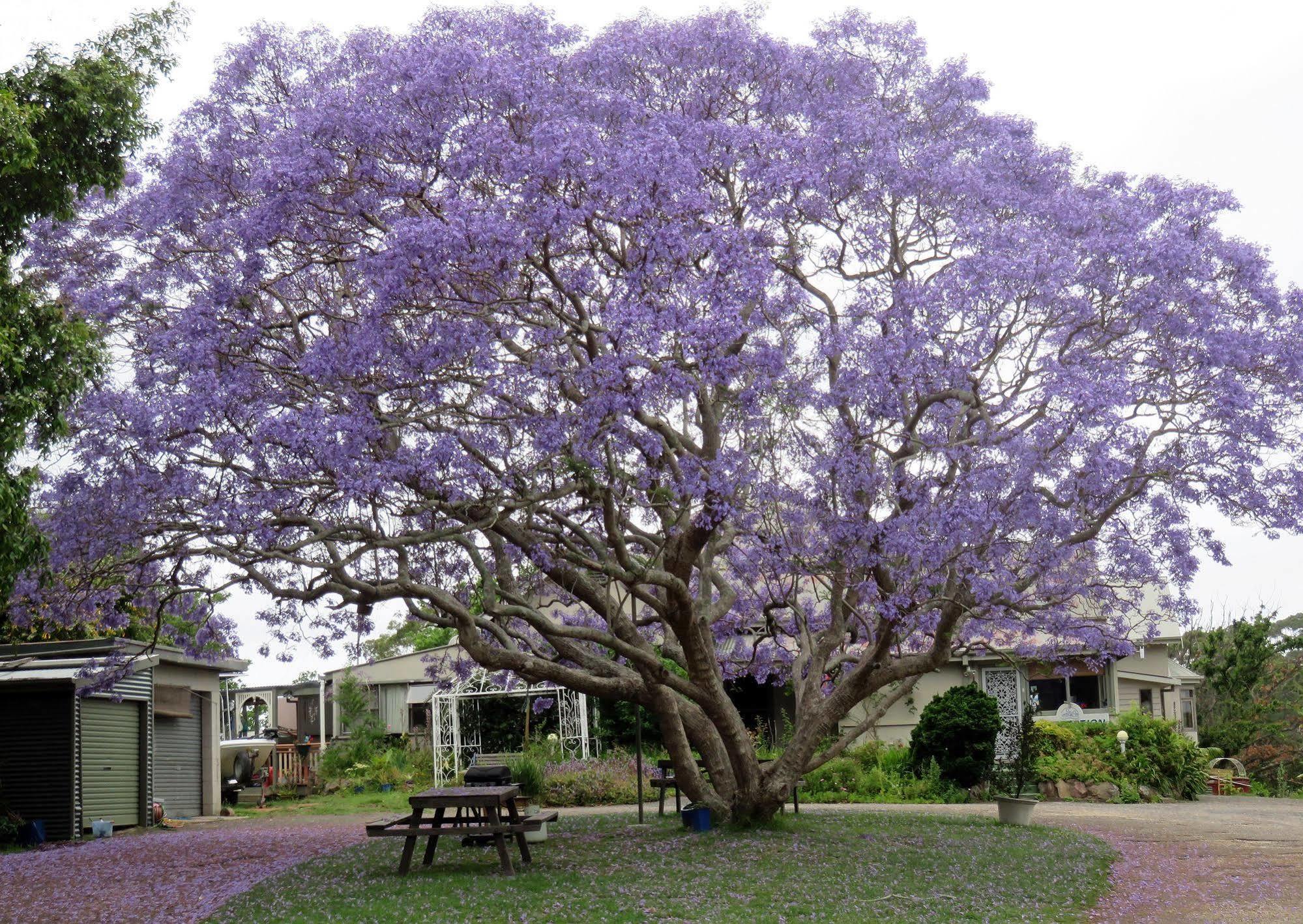 Ecotel Narooma North Narooma Екстер'єр фото