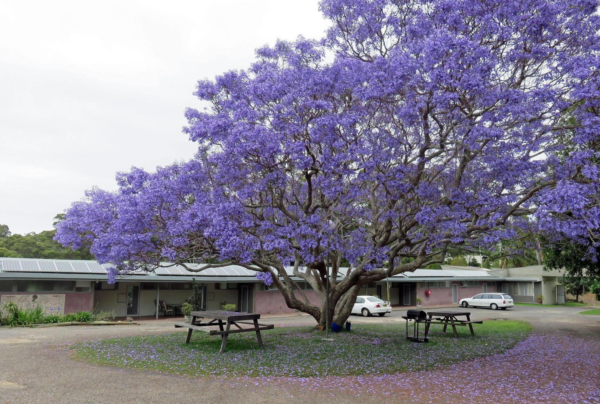 Ecotel Narooma North Narooma Екстер'єр фото